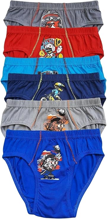 Boy's Multicolored Slip Panties